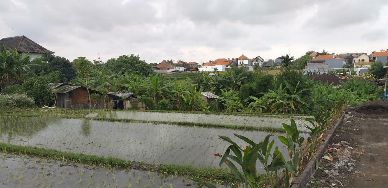 Pd Bali Guesthouse チャングー エクステリア 写真